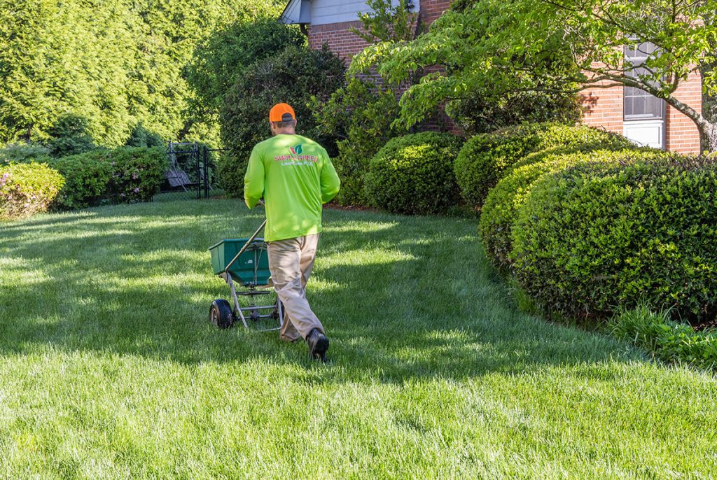 Weed Control and Fertilizing Program