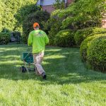 The Ultimate Weed Control and Fertilizing Program for Year-Round Lawn Health