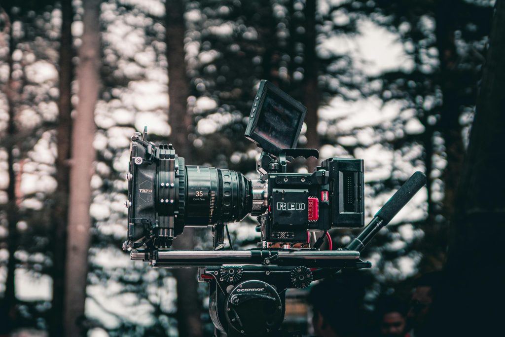 pexels-pratham-mahajan-2124500-15014396