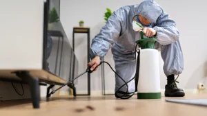 Why-Regular-Pest-Control-is-Essential-for-a-Healthy-Home
